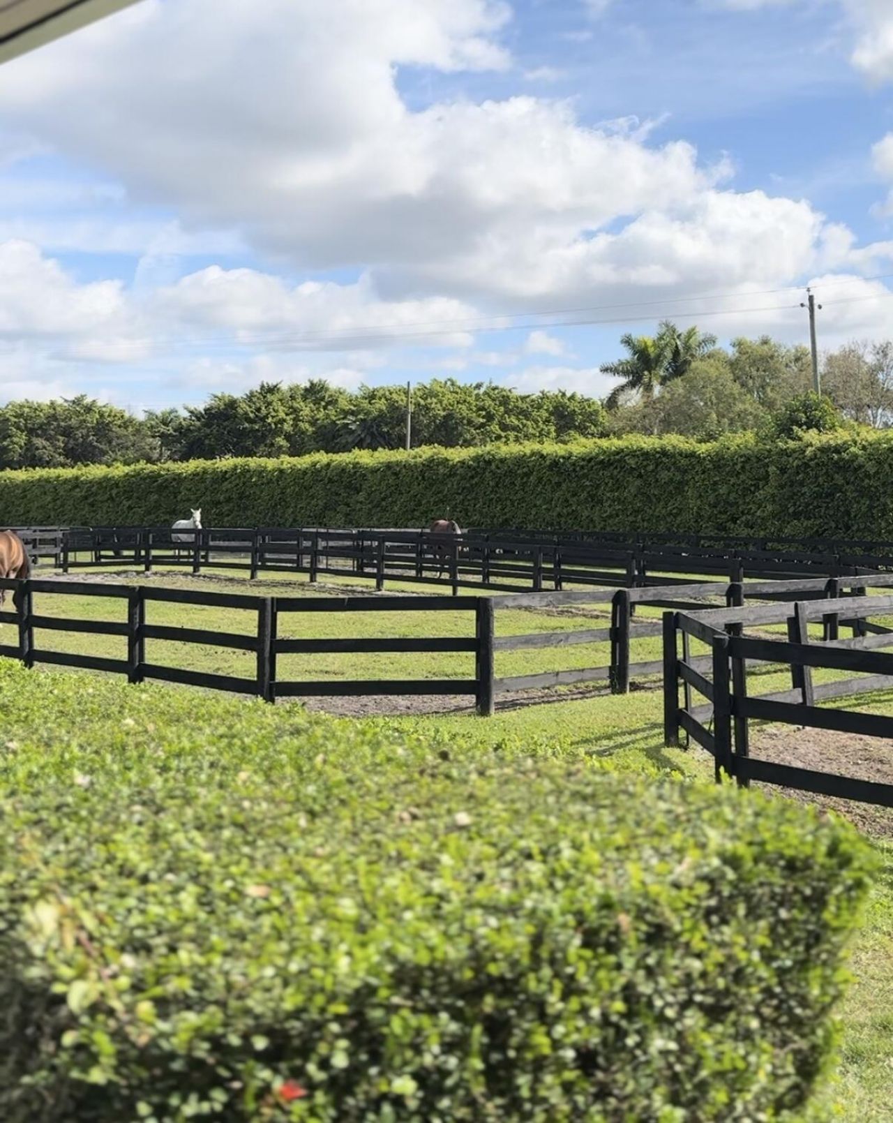 13205 Southfields Road, Wellington, FL 33414 Photo