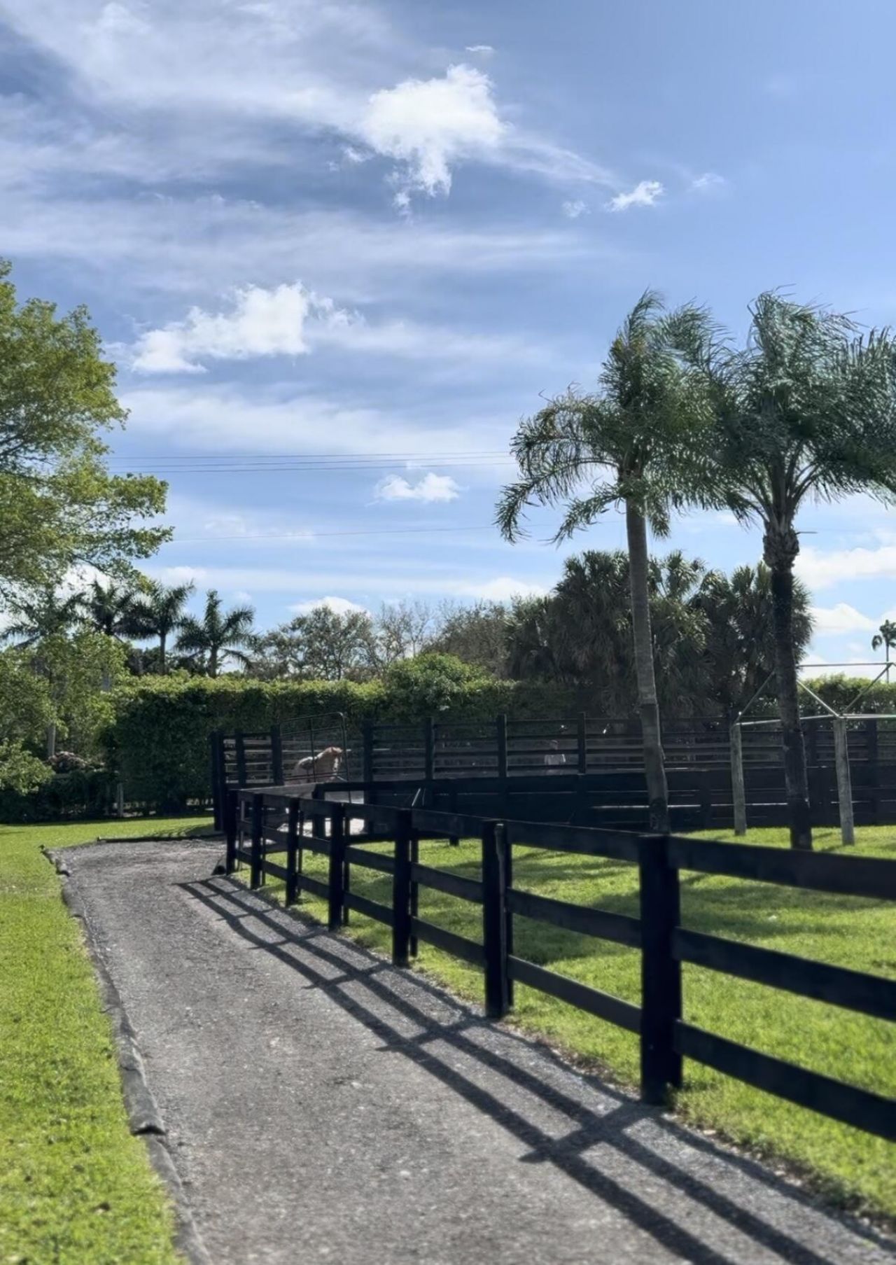 13205 Southfields Road, Wellington, FL 33414 Photo