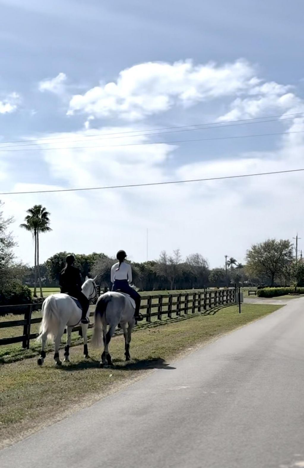 13205 Southfields Road, Wellington, FL 33414 Photo