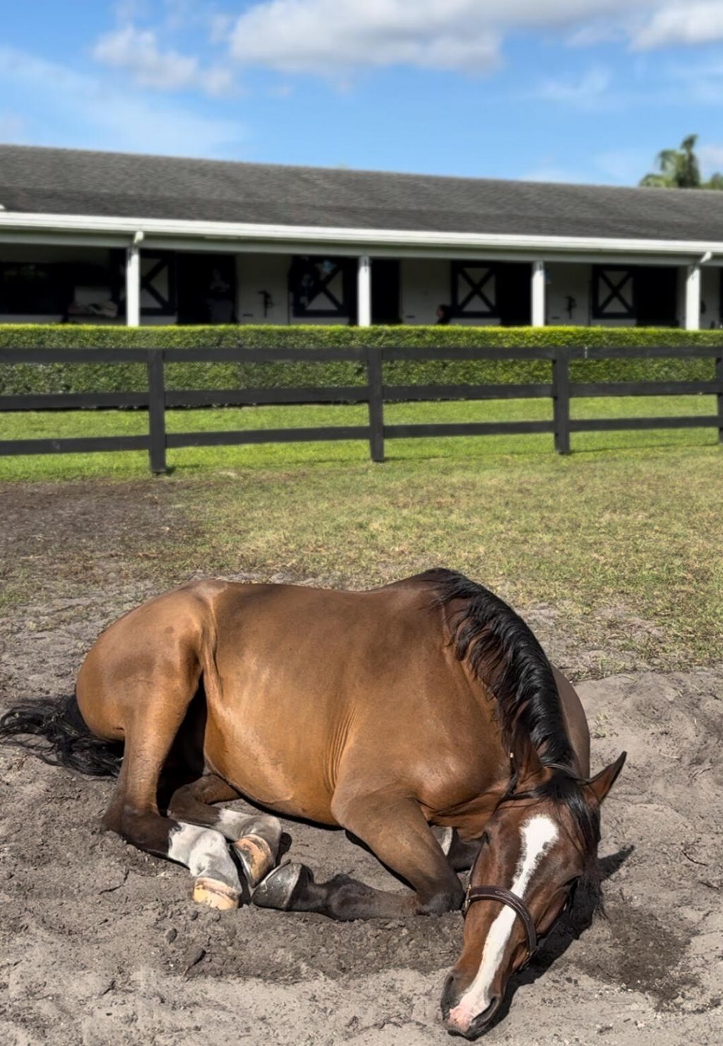 13205 Southfields Road, Wellington, FL 33414 Photo