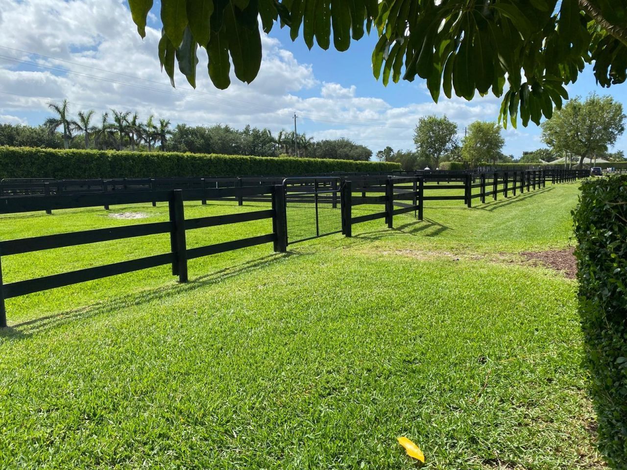 13205 Southfields Road, Wellington, FL 33414 Photo