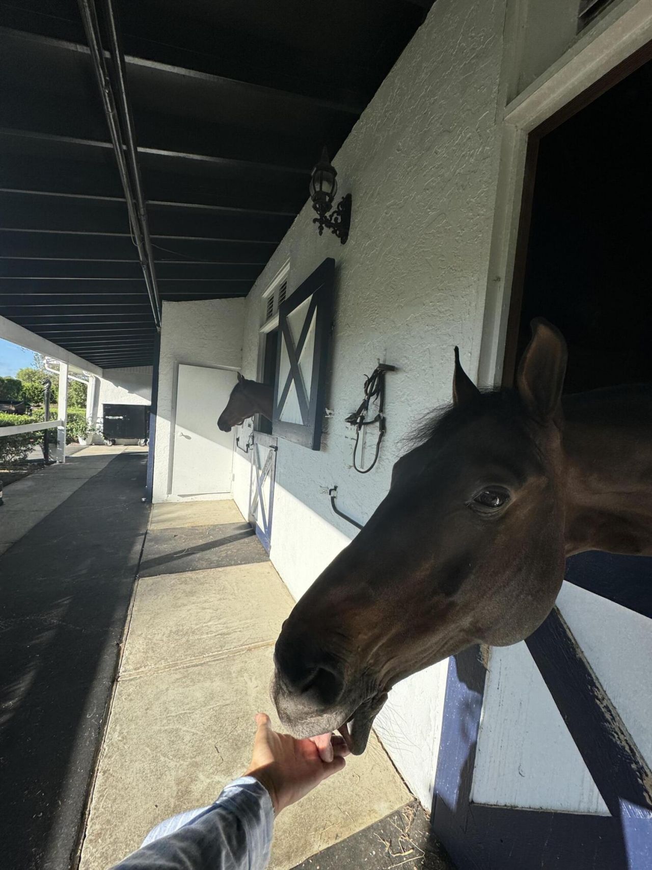 13205 Southfields Road, Wellington, FL 33414 Photo