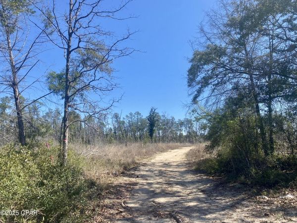 50 acres NW Sellers Road, Bristol, FL 32321
