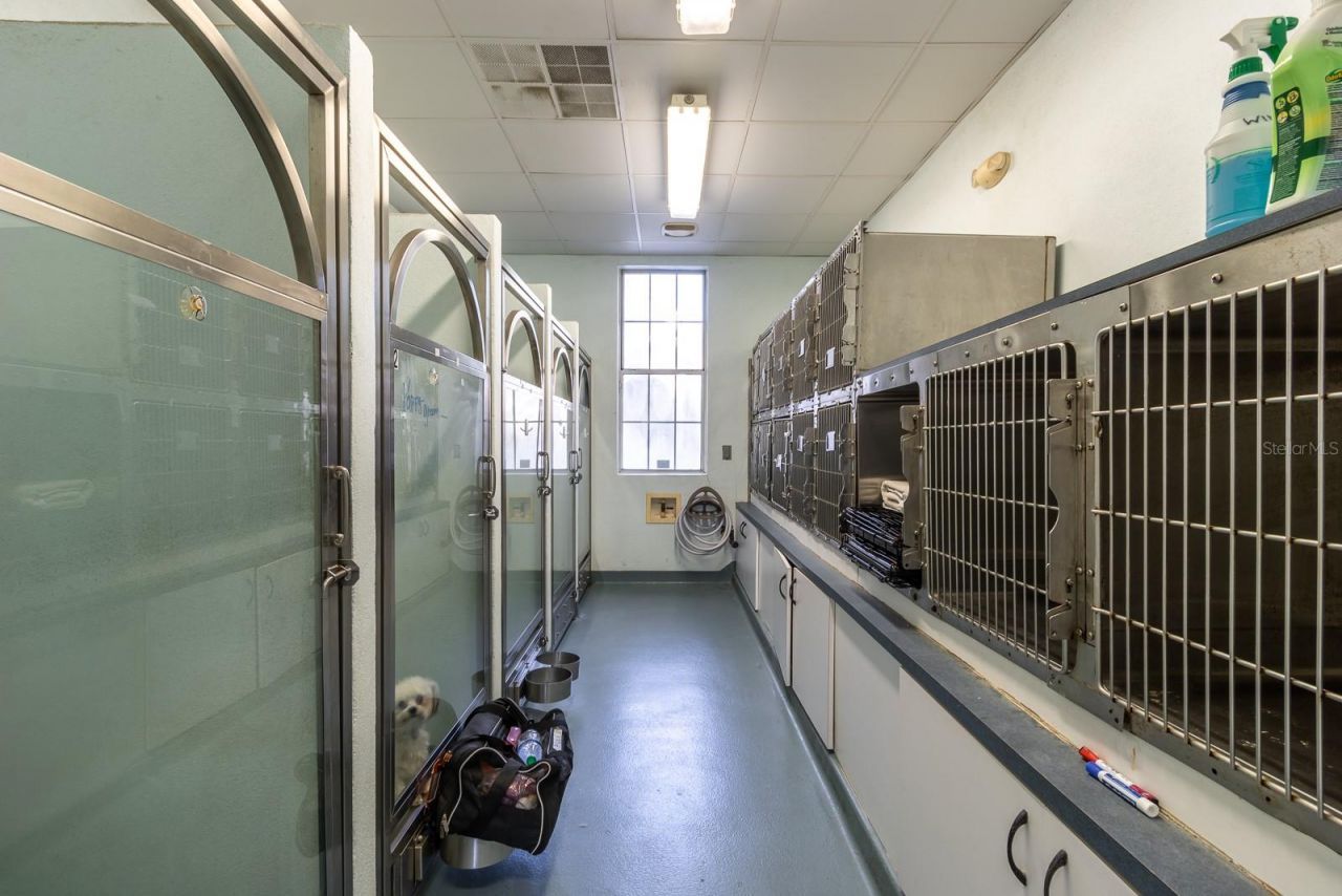 5213 & 5217 & 5231 SW 91st Drive, Gainesville, FL 32608 Photo