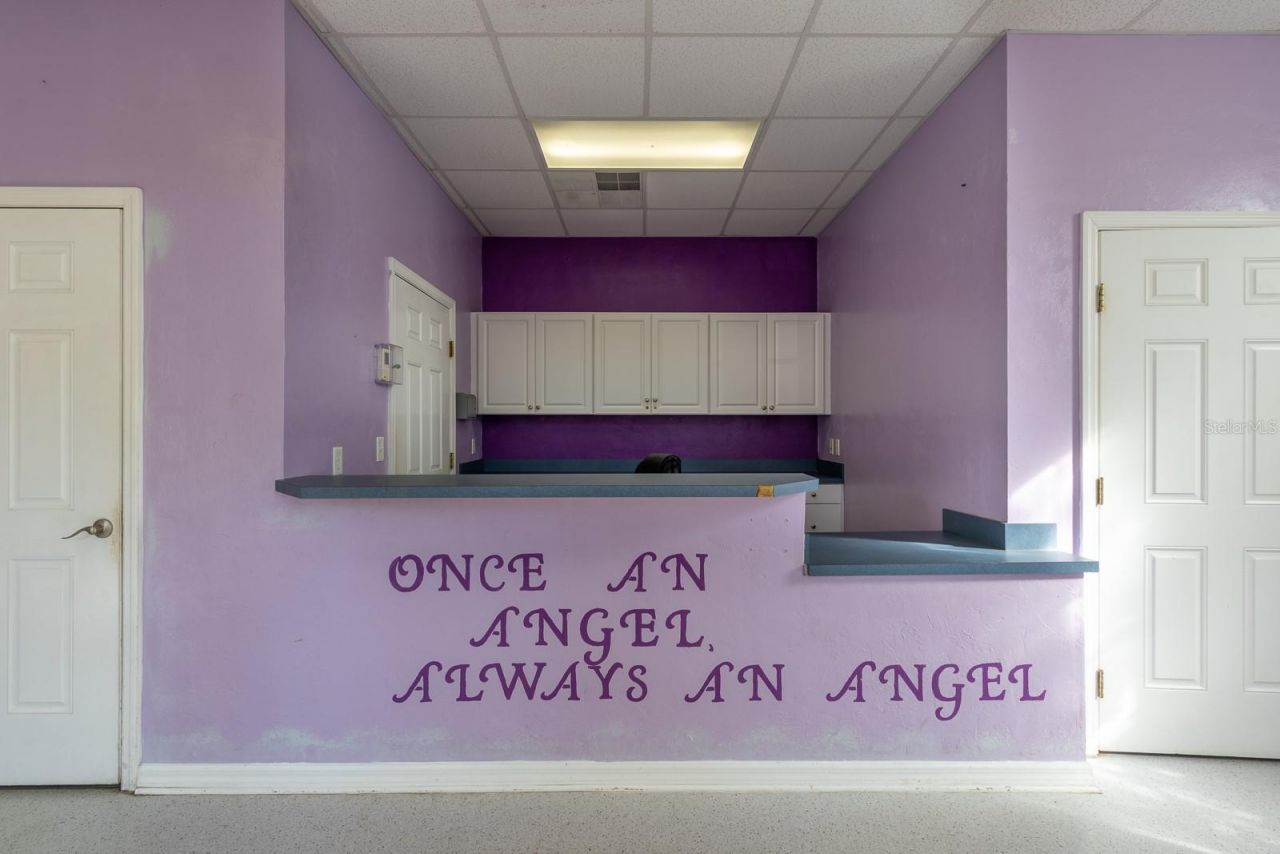 5213 & 5217 & 5231 SW 91st Drive, Gainesville, FL 32608 Photo