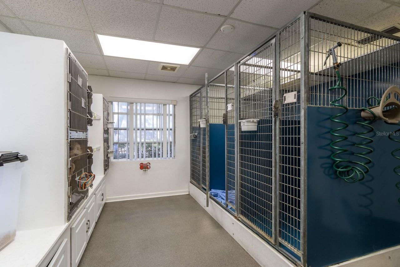 5213 & 5217 & 5231 SW 91st Drive, Gainesville, FL 32608 Photo