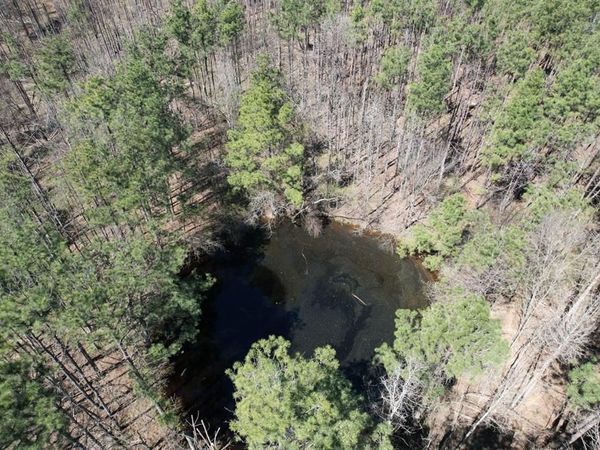 TBD Billy Ray Rd, Marshall, TX 75672