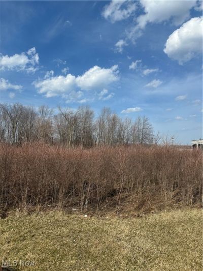 V/L Lost Nation Road, Willoughby, OH 44094