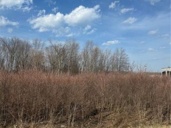 V/L Lost Nation Road, Willoughby, OH 44094