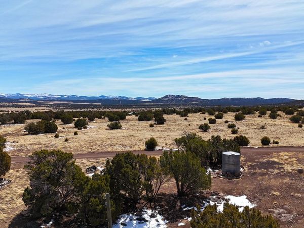 41 Antelope Avenue, Unit 464, Concho, AZ 85924