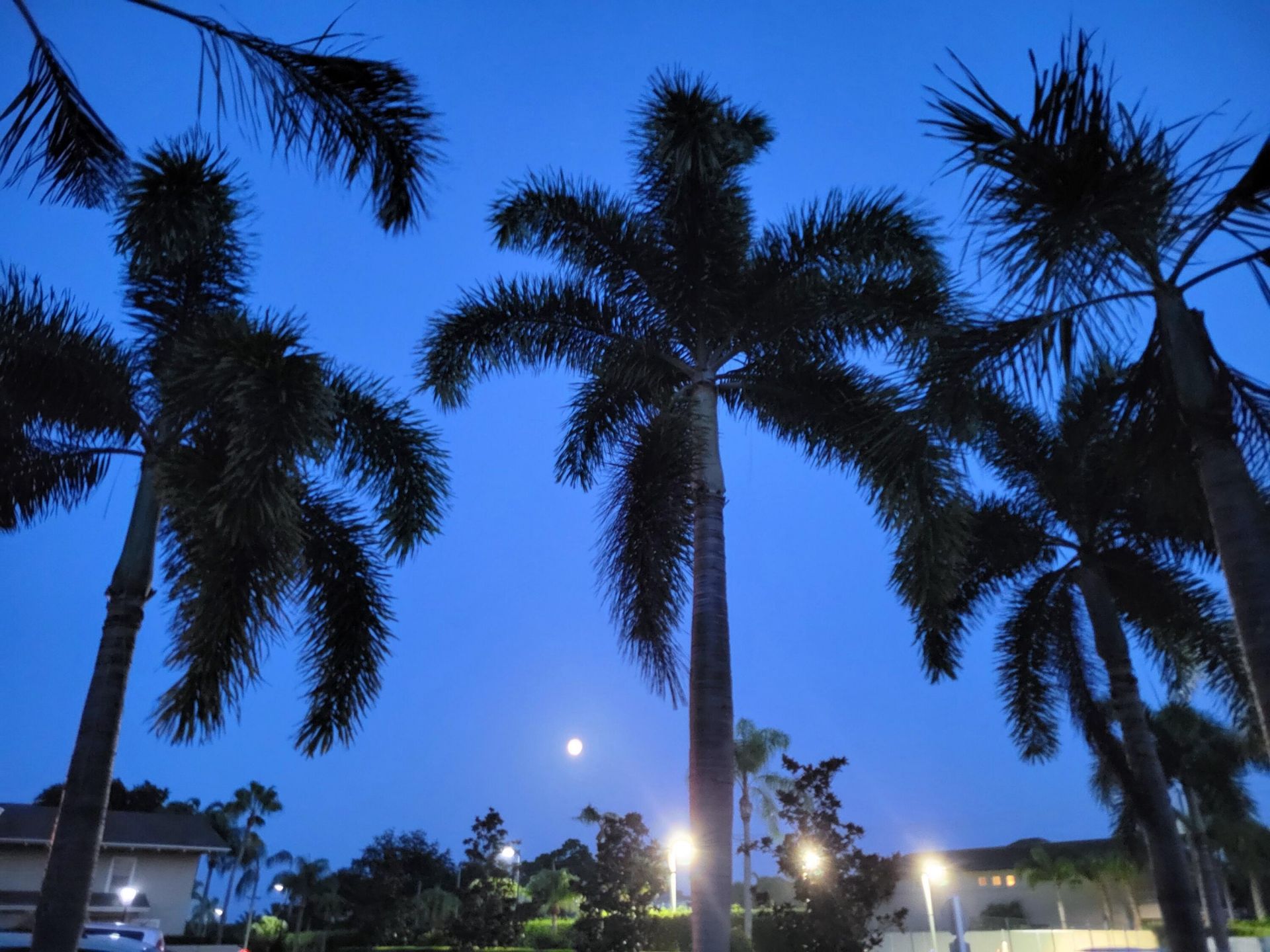 9259 SE Riverfront Terrace, Unit L, Jupiter, FL 33469 Photo