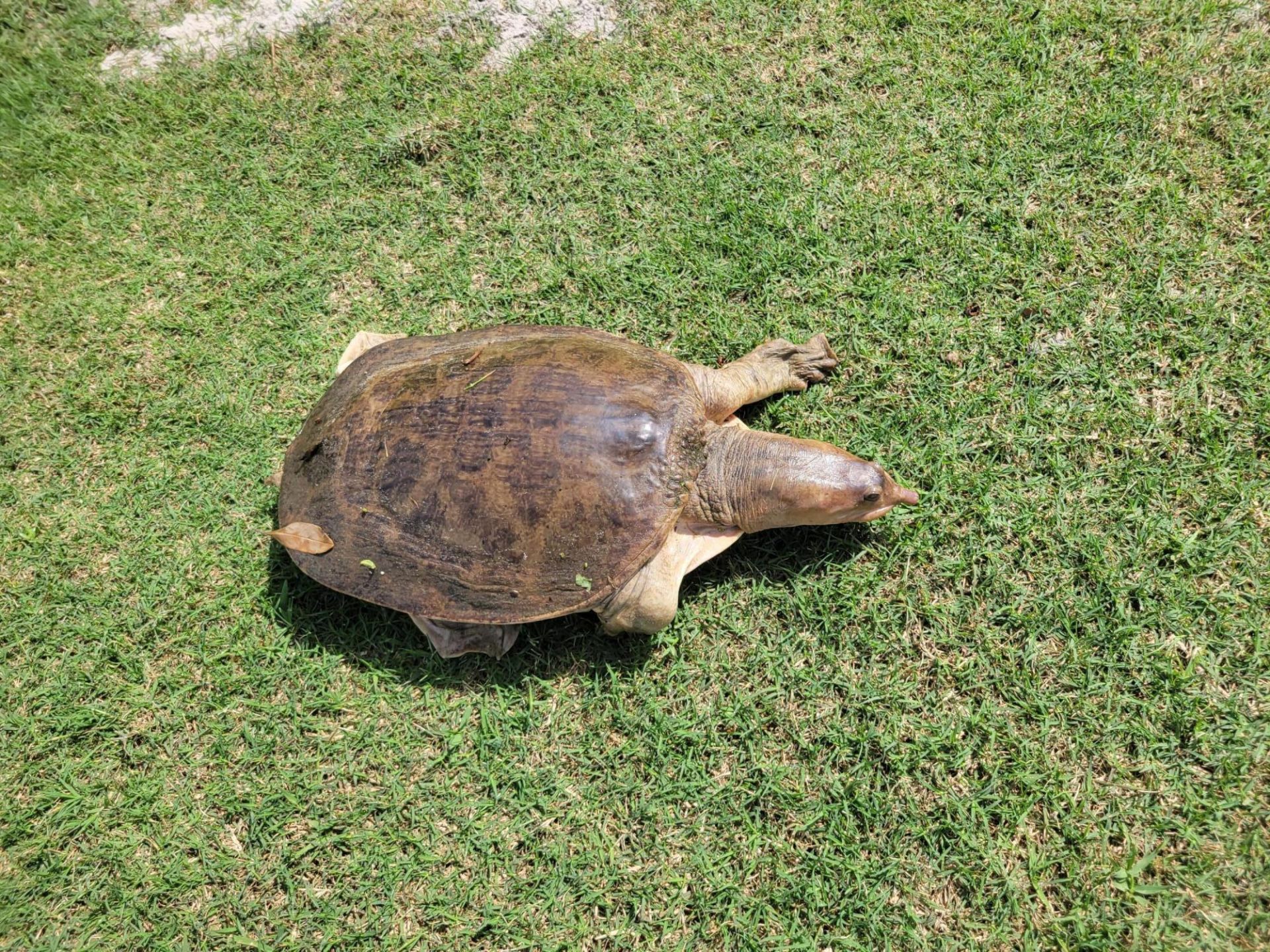 9259 SE Riverfront Terrace, Unit L, Jupiter, FL 33469 Photo