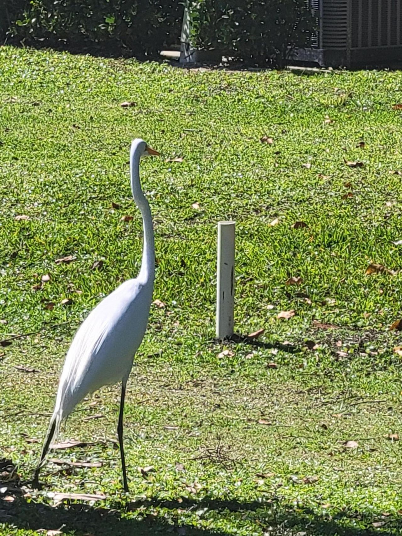 9259 SE Riverfront Terrace, Unit L, Jupiter, FL 33469 Photo