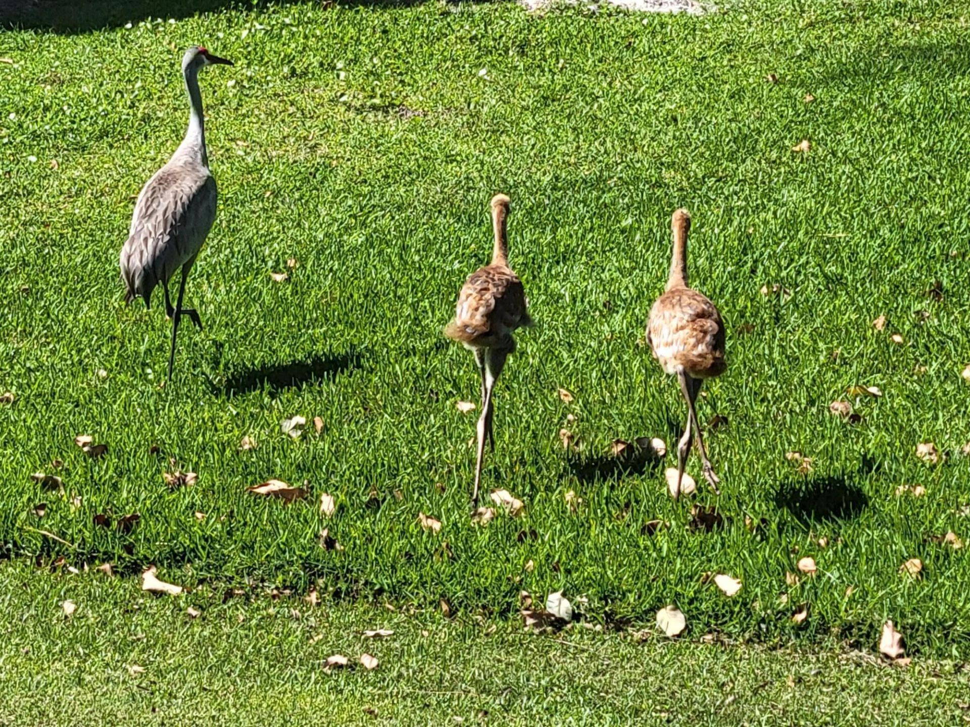 9259 SE Riverfront Terrace, Unit L, Jupiter, FL 33469 Photo