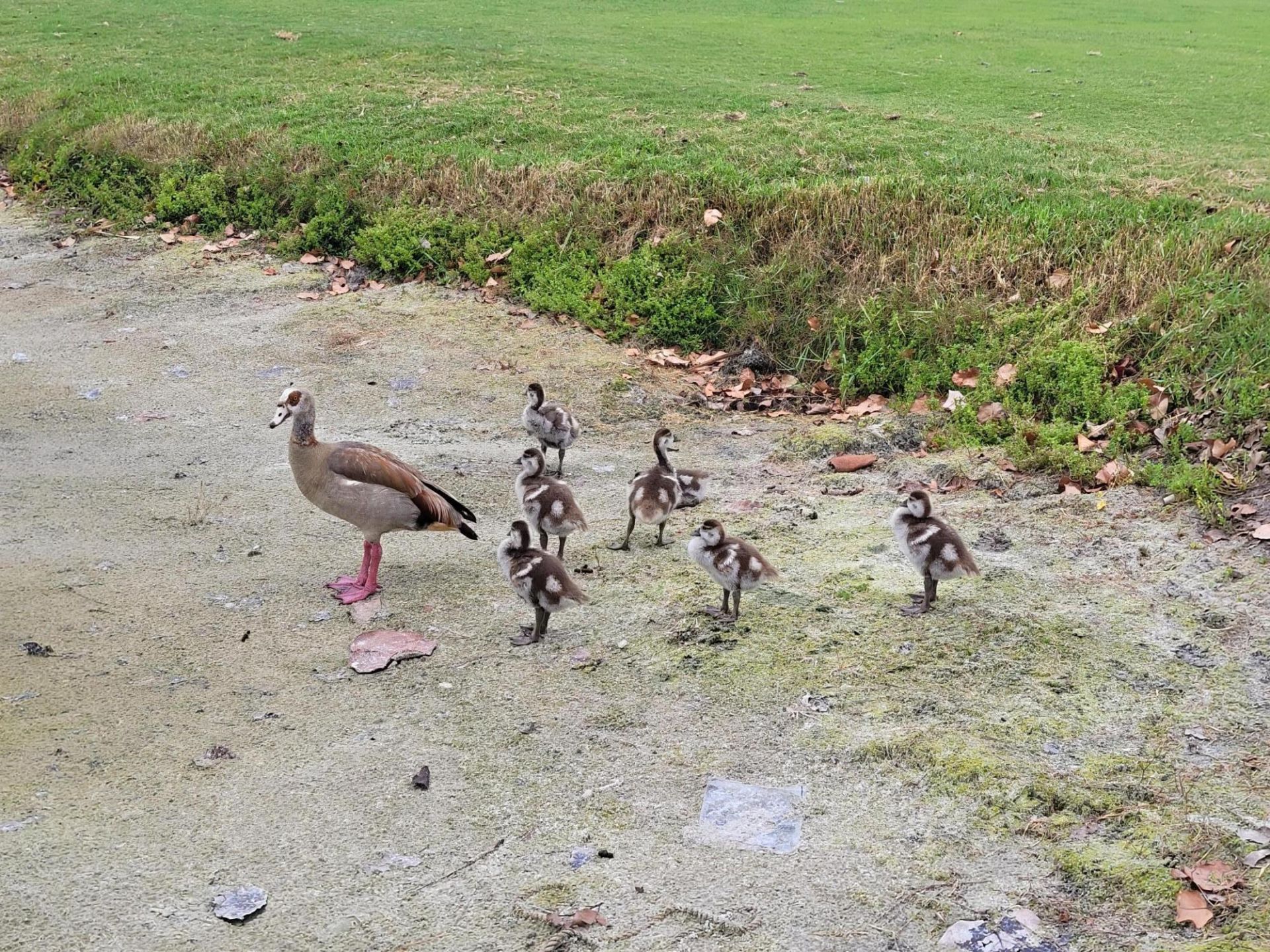 9259 SE Riverfront Terrace, Unit L, Jupiter, FL 33469 Photo