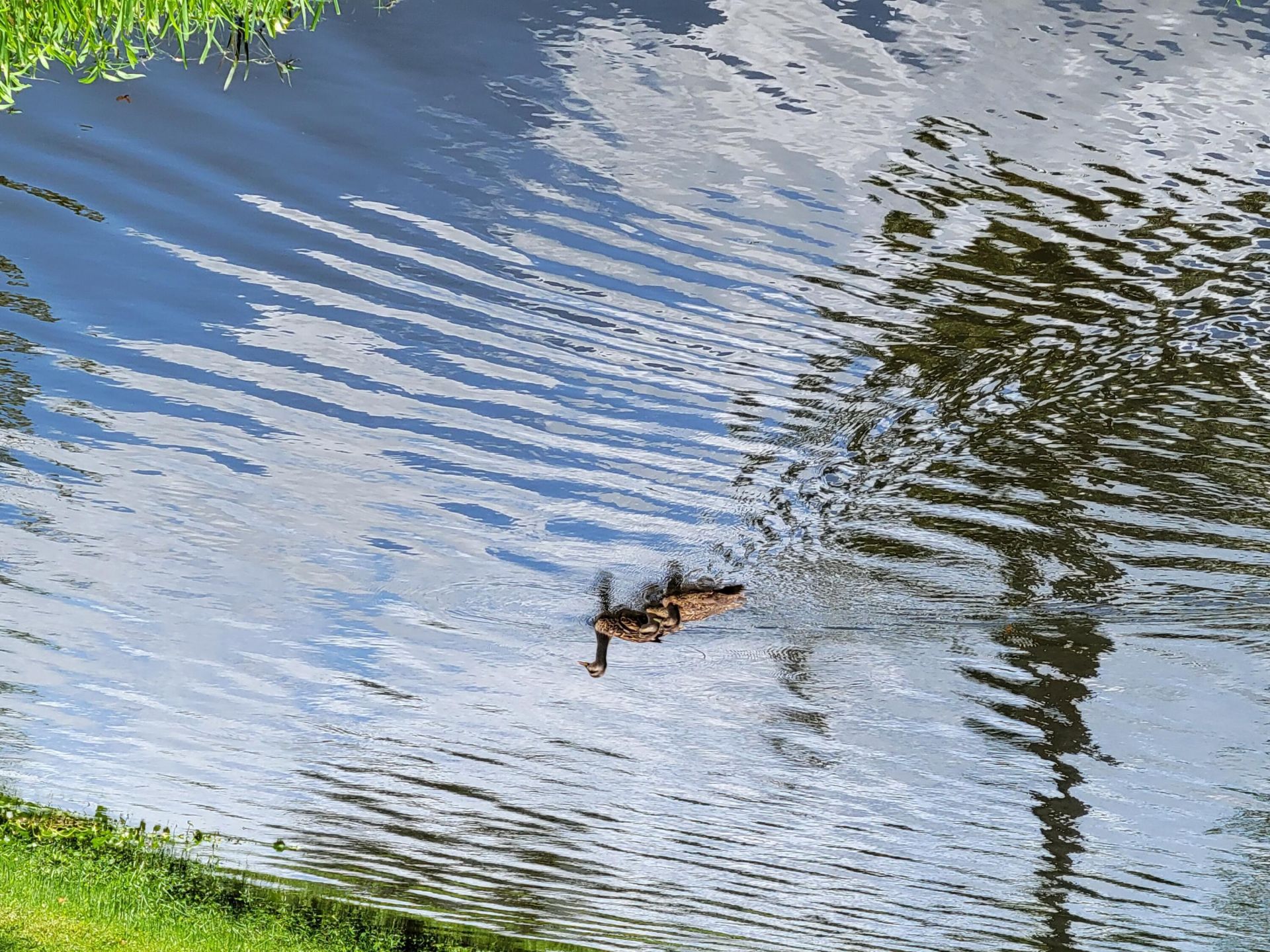 9259 SE Riverfront Terrace, Unit L, Jupiter, FL 33469 Photo