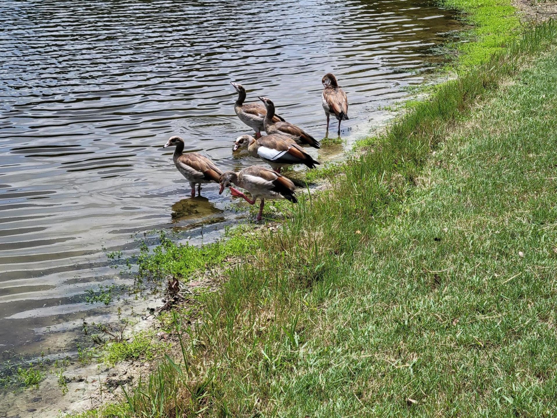 9259 SE Riverfront Terrace, Unit L, Jupiter, FL 33469 Photo