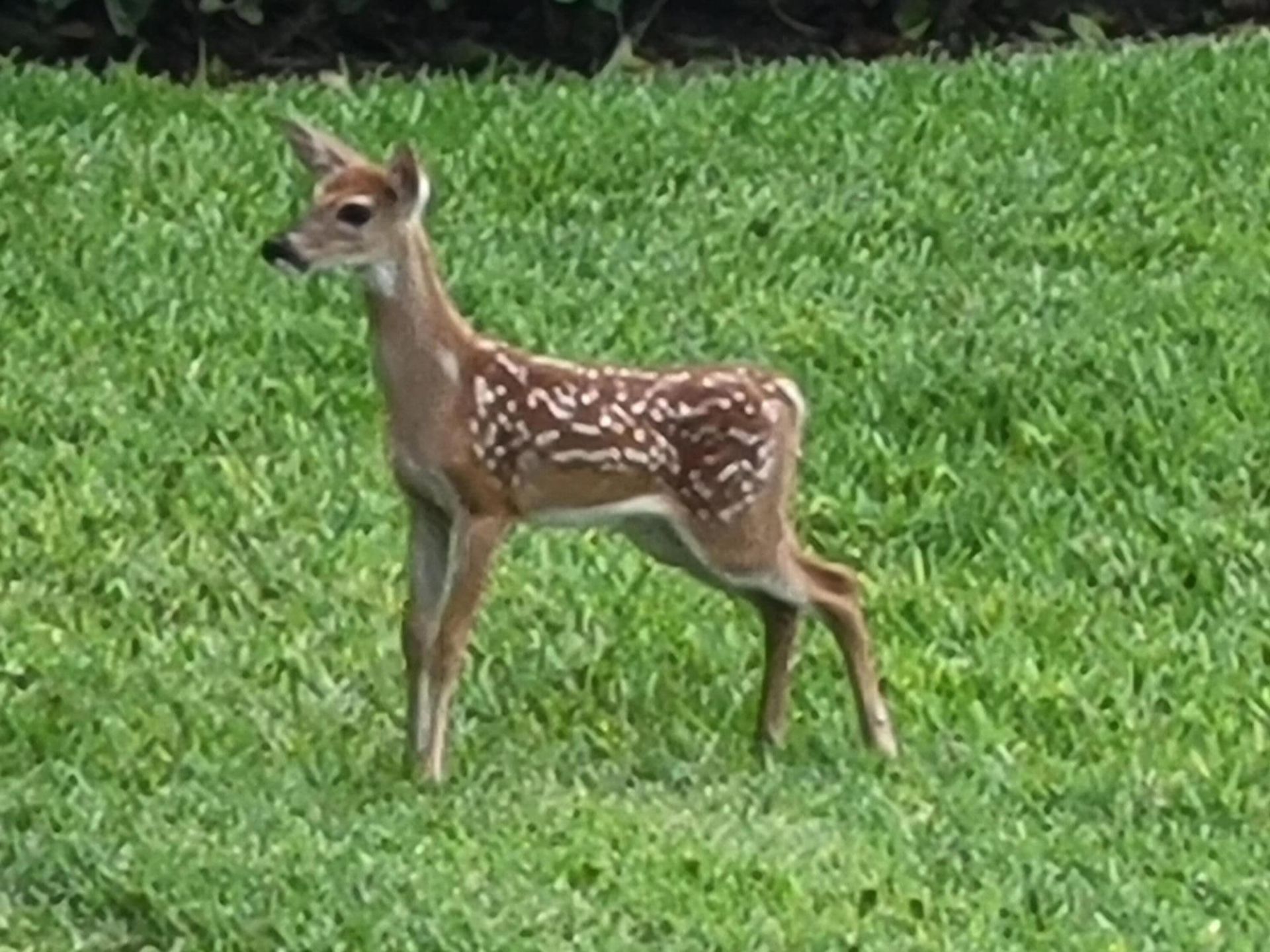 9259 SE Riverfront Terrace, Unit L, Jupiter, FL 33469 Photo