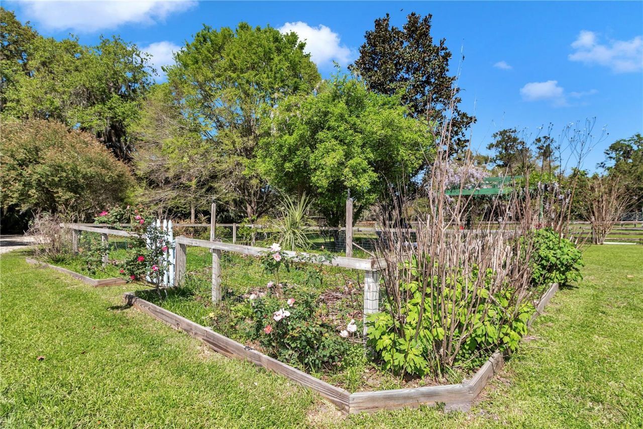 12490 NW Highway 320, Micanopy, FL 32667 Photo