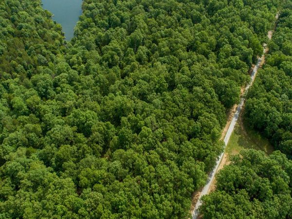 000 Airline Drive , Unit Lot 42, Protem, MO 65733