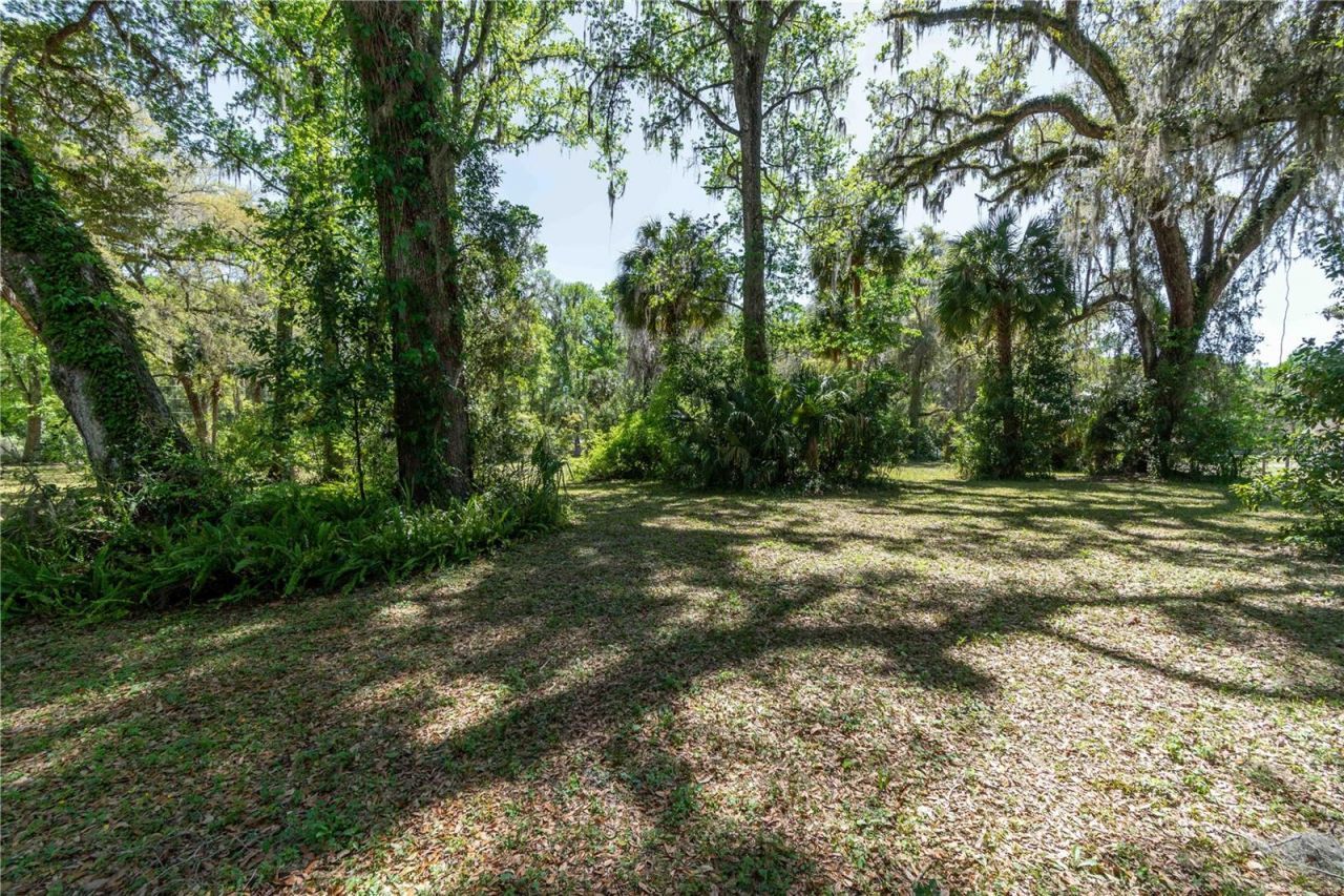 14100 NE 40th Court, Anthony, FL 32617 Photo