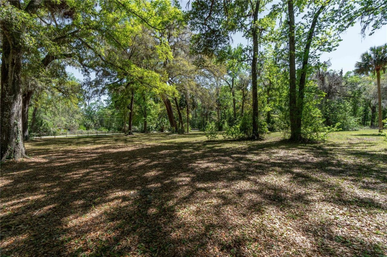 14100 NE 40th Court, Anthony, FL 32617 Photo