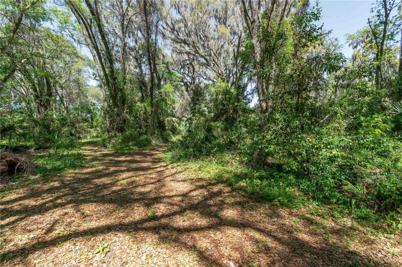 14100 NE 40th Court, Anthony, FL 32617 Photo