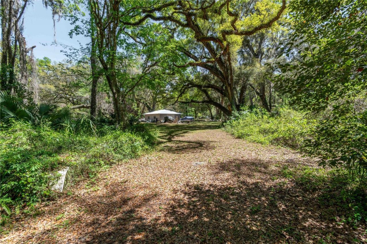 14100 NE 40th Court, Anthony, FL 32617 Photo