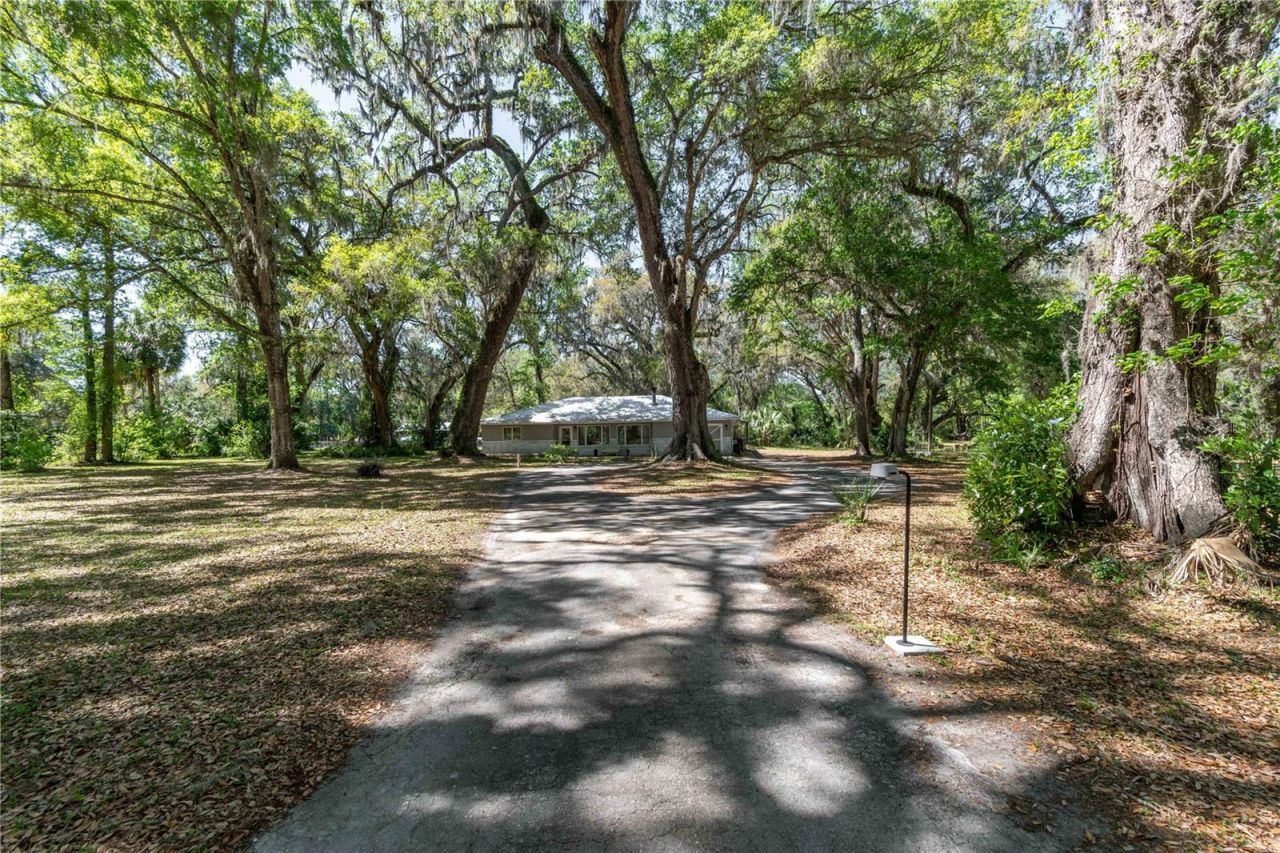 14100 NE 40th Court, Anthony, FL 32617 Photo