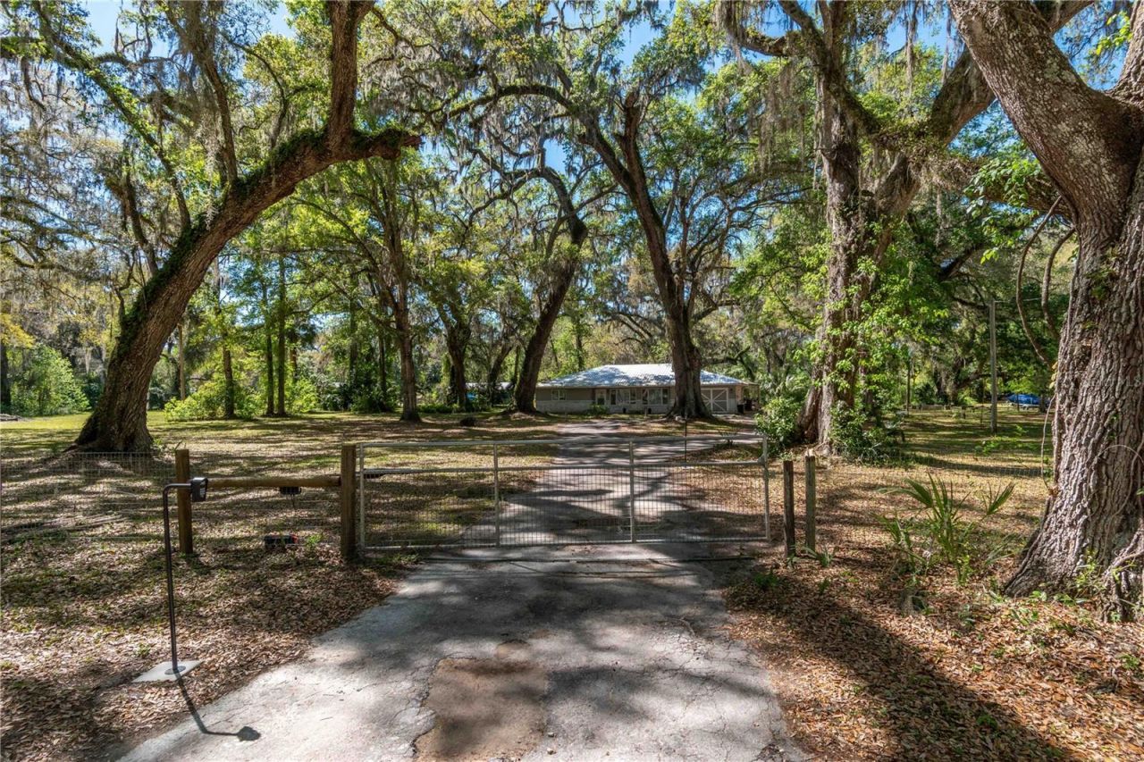 14100 NE 40th Court, Anthony, FL 32617 Photo