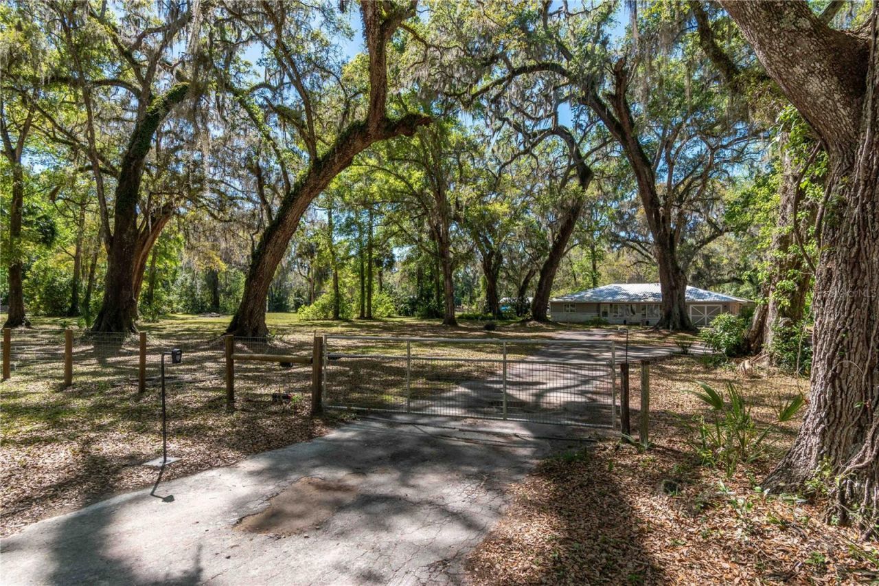 14100 NE 40th Court, Anthony, FL 32617 Photo