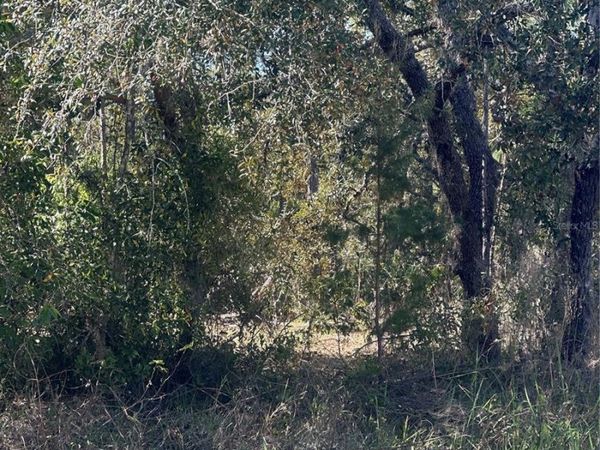 7 SWEETBAY COURT, HOMOSASSA, FL 34446