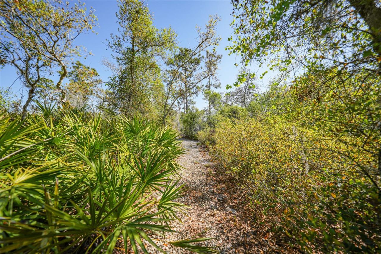 16180 Forest Glen Court, Punta Gorda, FL 33982 Photo