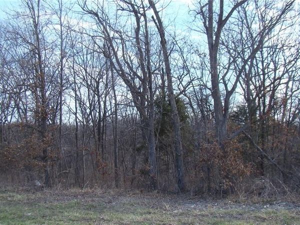 Kite Road, Odessa, MO 64076