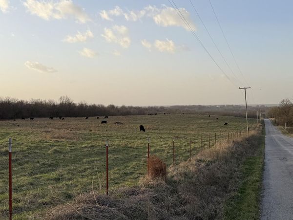 Tract 3 Dade 142, South Greenfield, MO 65752