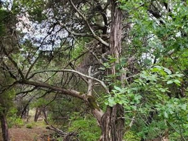 6520 Charleton Lane, Cleburne, TX 76033