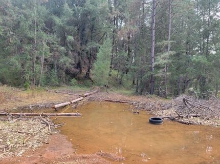 7-acres Canyon Way, Colfax, CA 95713 Photo