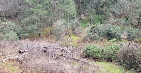 7-acres Canyon Way, Colfax, CA 95713 Photo