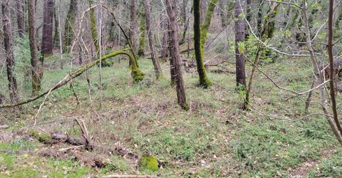 7-acres Canyon Way, Colfax, CA 95713 Photo