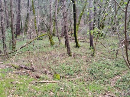 7-acres Canyon Way, Colfax, CA 95713 Photo