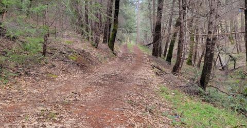 7-acres Canyon Way, Colfax, CA 95713 Photo