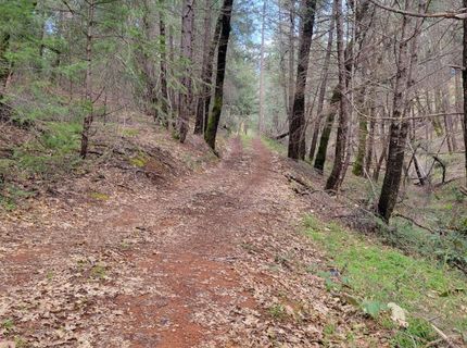 7-acres Canyon Way, Colfax, CA 95713 Photo