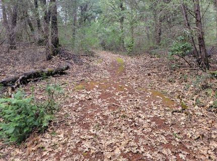 7-acres Canyon Way, Colfax, CA 95713 Photo