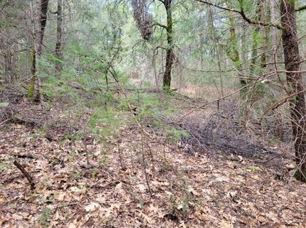 7-acres Canyon Way, Colfax, CA 95713 Photo