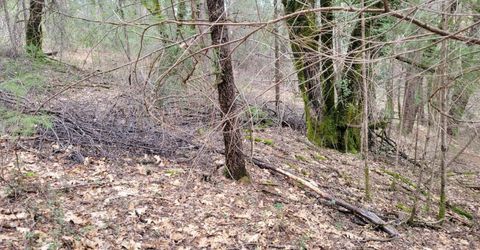 7-acres Canyon Way, Colfax, CA 95713 Photo