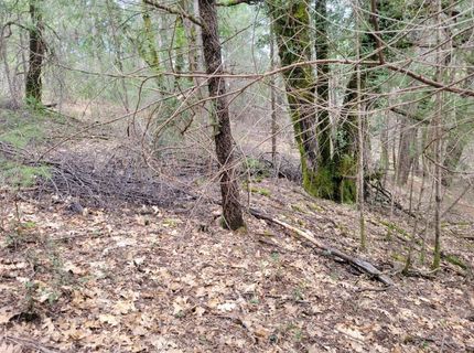 7-acres Canyon Way, Colfax, CA 95713 Photo