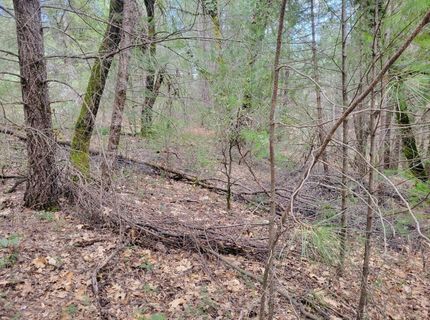 7-acres Canyon Way, Colfax, CA 95713 Photo