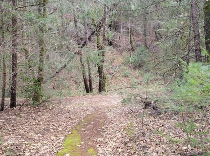 7-acres Canyon Way, Colfax, CA 95713 Photo