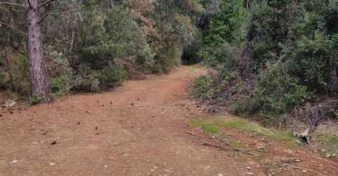 7-acres Canyon Way, Colfax, CA 95713 Photo