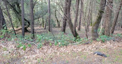 7-acres Canyon Way, Colfax, CA 95713 Photo